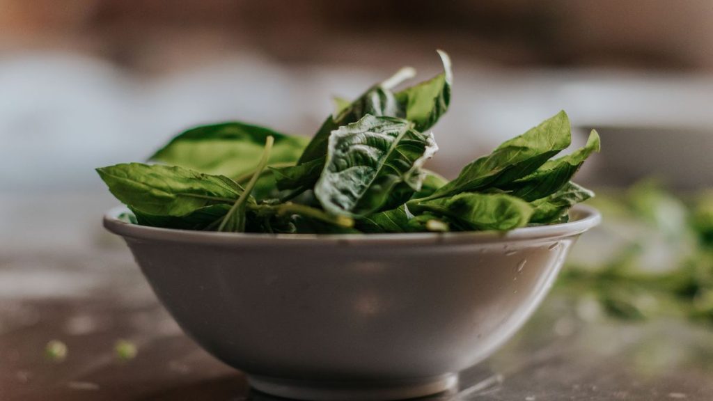 Apa Saja Manfaat Sayuran Untuk Diet Harian